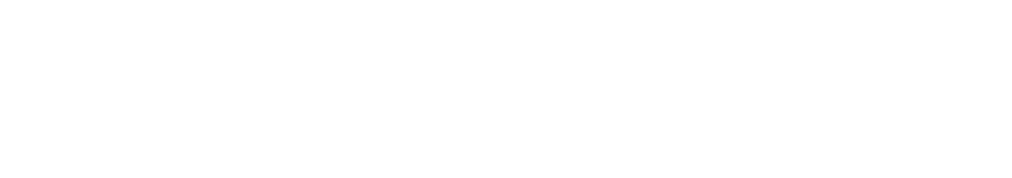 einsnulleins footer logo